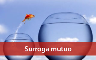 surroga mutuo inpdap